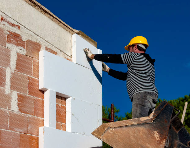 Best Home Insulation Services  in Cedar Creek, TX