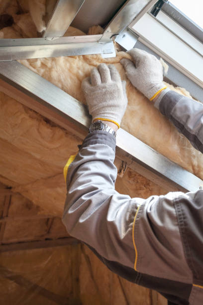Best Insulation Repair Services  in Cedar Creek, TX
