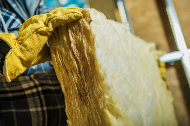 Best Spray Foam Insulation  in Cedar Creek, TX