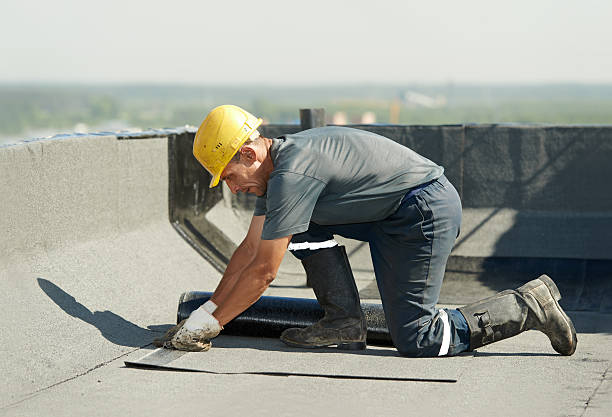 Best Insulation Inspection Services  in Cedar Creek, TX