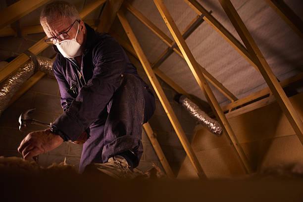 Best Crawl Space Insulation  in Cedar Creek, TX